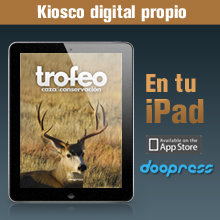 publicidad