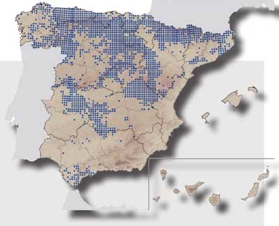 Distribución del Corzo en España