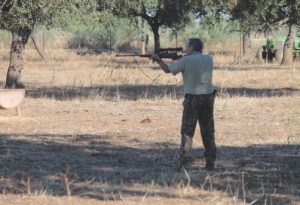 ececho-selectivo-de-muflon_image6