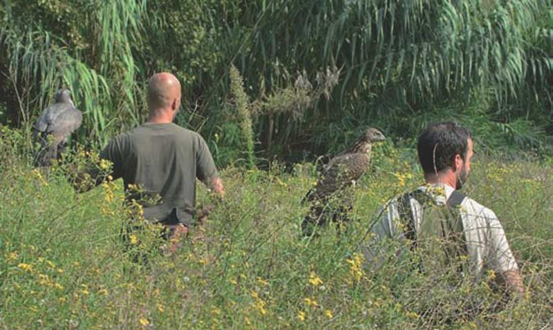 azores-a-patos3