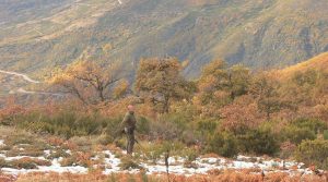 Caza-al-Salto-en-alta-montana_page8_image7