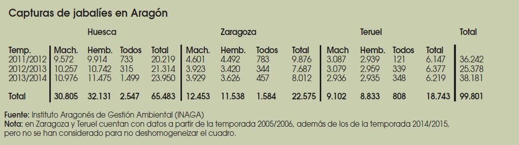 Caza-mayor-reportajes-nacional-problemas-del- Jabali-en- España-II-ARAGON
