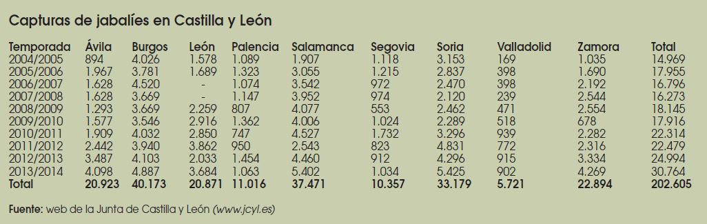 Caza-mayor-reportajes-nacional-problemas-del- Jabali-en- España-II-CASTILA-LEON