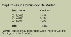 Caza-mayor-reportajes-nacional-problemas-del- Jabali-en- España-II-MADRID