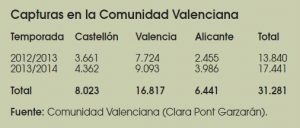Caza-mayor-reportajes-nacional-problemas-del- Jabali-en- España-II-VALENCIA