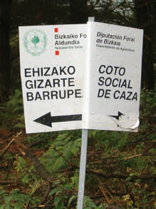 tras-el-corzo-9