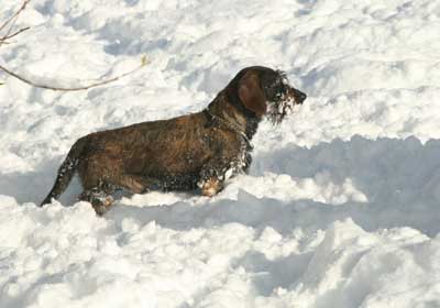 Enfermedades-y-frio-5