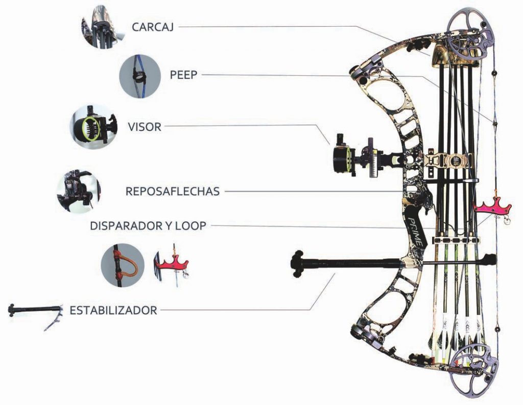 Caza con arco reportajes accesorios del-arco compuesto