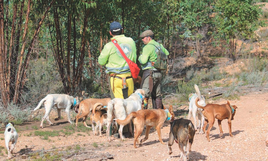 Caza-mayor-monterias-la-etica-del--montero-