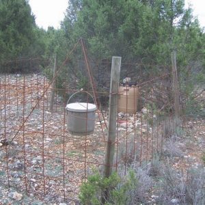 Cotos-de-caza-capacidades-de-carga-de-los-ecosistemas-para-caza