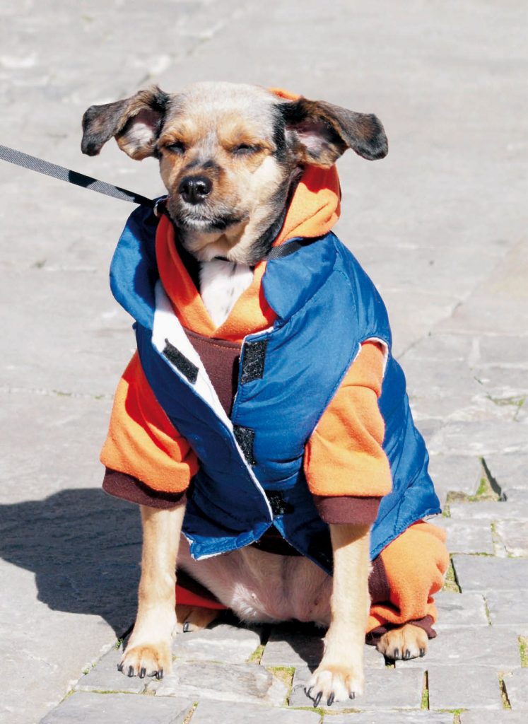 Humanizacion