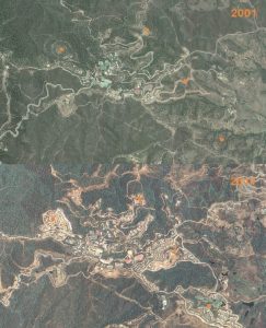 Caza-mayor-reportajes-nacional-caza-mayor-en-zonas-urbanas-image7