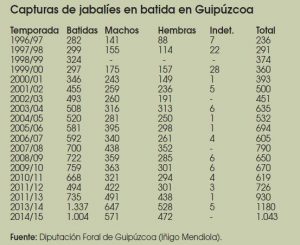 Caza-mayor-reportajes-nacional-problemas-del- Jabali-en- España-II-GIPUZCOA