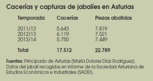 Caza-mayor-reportajes-nacional-problemas-del- Jabali-en- España-II-IMAGEN 18