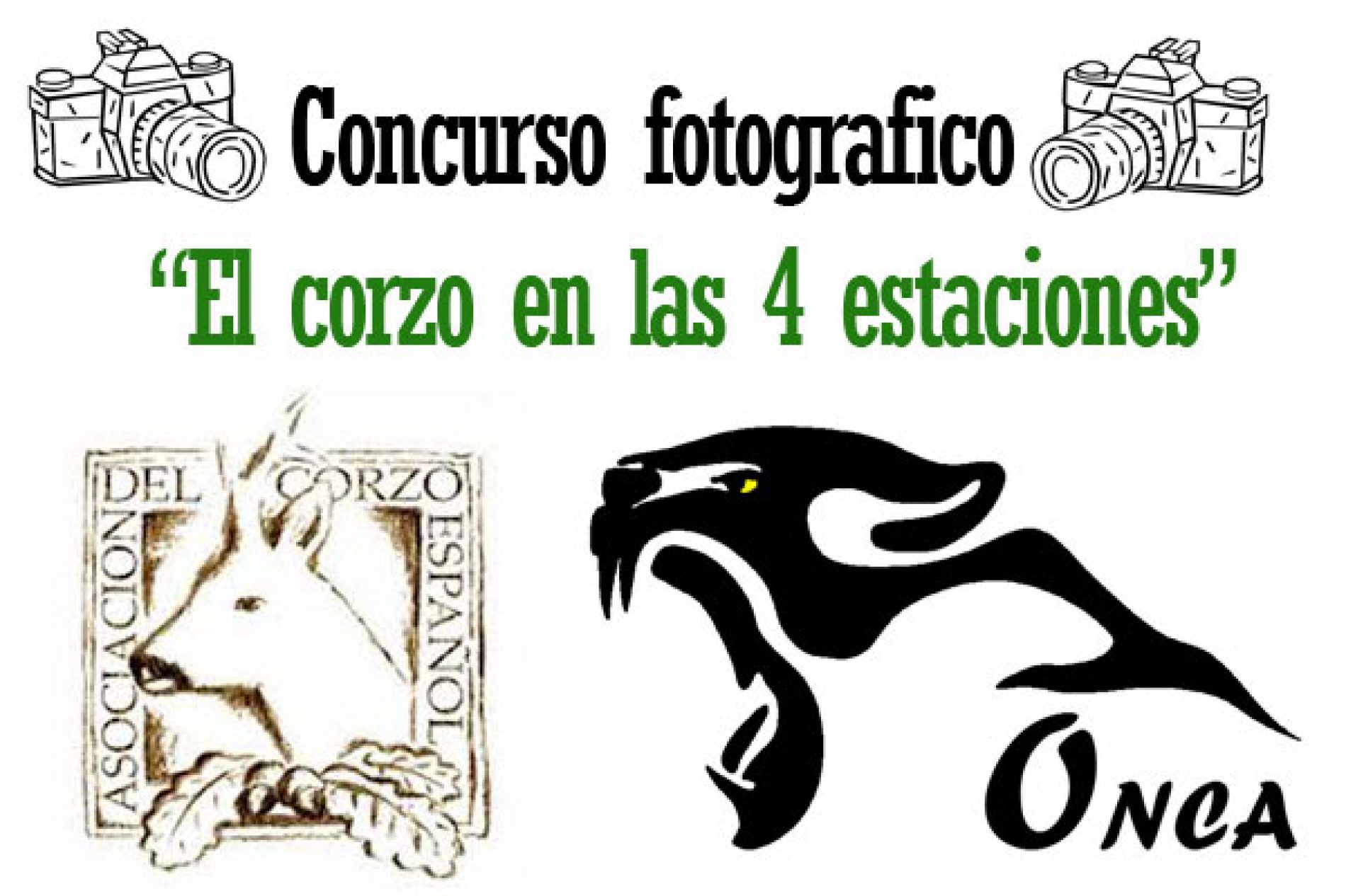 Concurso Fotográfico ACE 2015, El Corzo en las Cuatro Estaciones