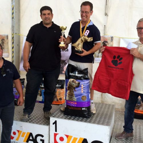 Se celebra el XI Campeonato de Cataluña de Perros de Muestra con mención CACT