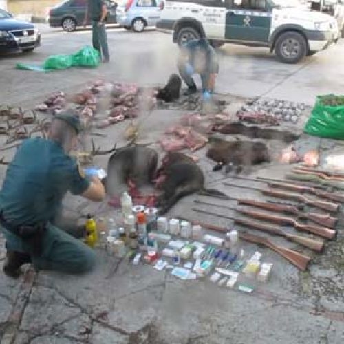 La Guardia Civil detiene a cuatro cazadores furtivos