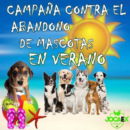 Campaña Jocaex Contra El Abandono De Mascotas En Verano