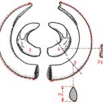 Instrucciones-de-Homologacion