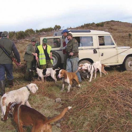 La Federación Catalana de Caza recomienda no cazar hasta que la Administración «escuche» a los cazadores