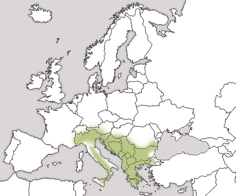 mapa-distribucion-perdiz-griega