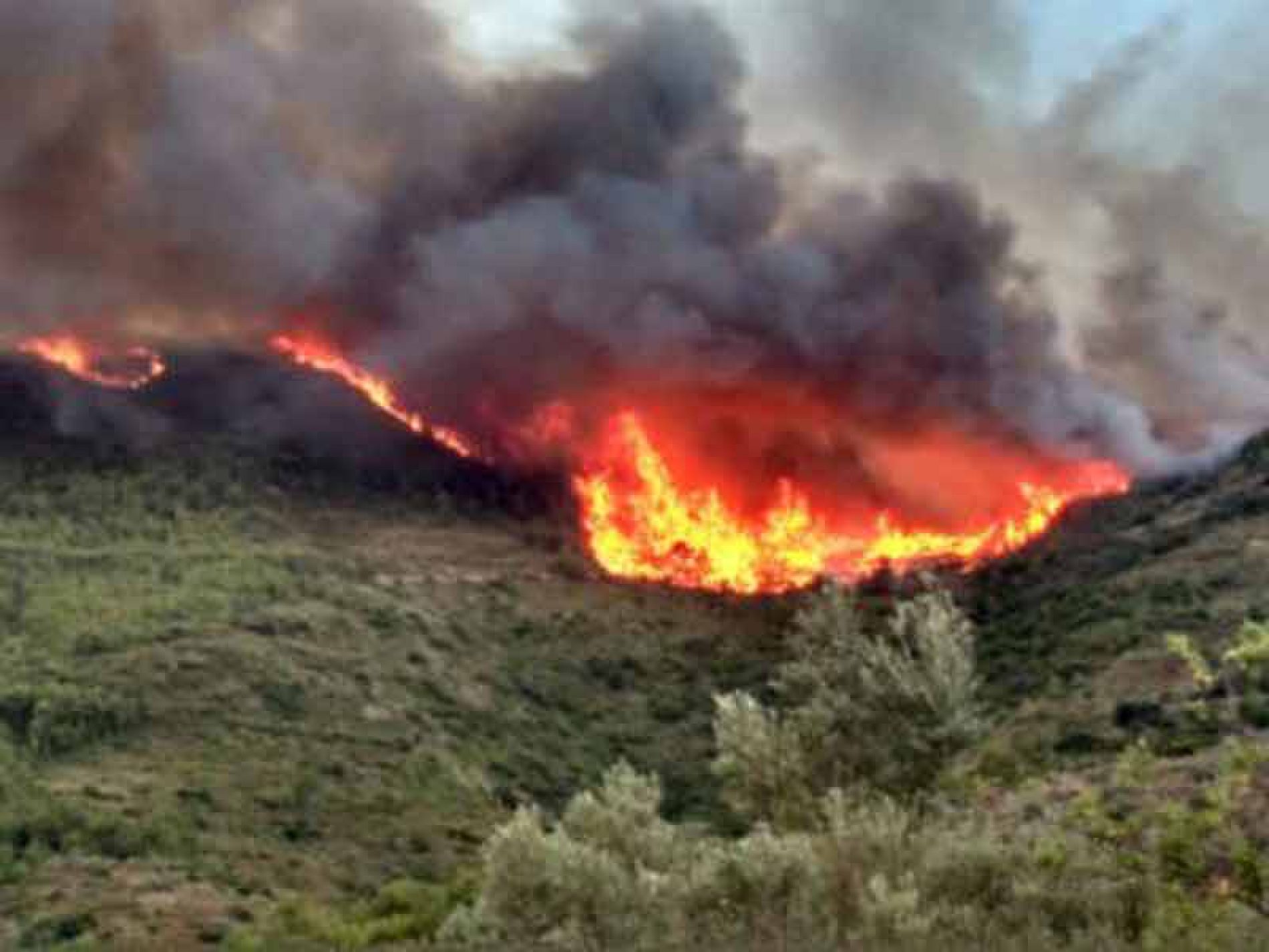 Los cazadores piden a la Junta de Extremadura medidas urgentes en las zonas afectadas por incendios