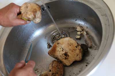 boletus-con-jamon-1