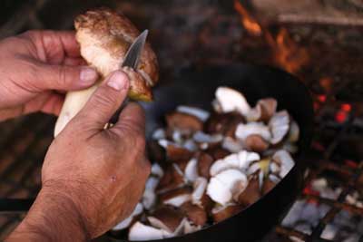 boletus-con-jamon-3