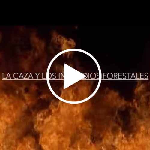 Documental, La caza y los incendios forestales