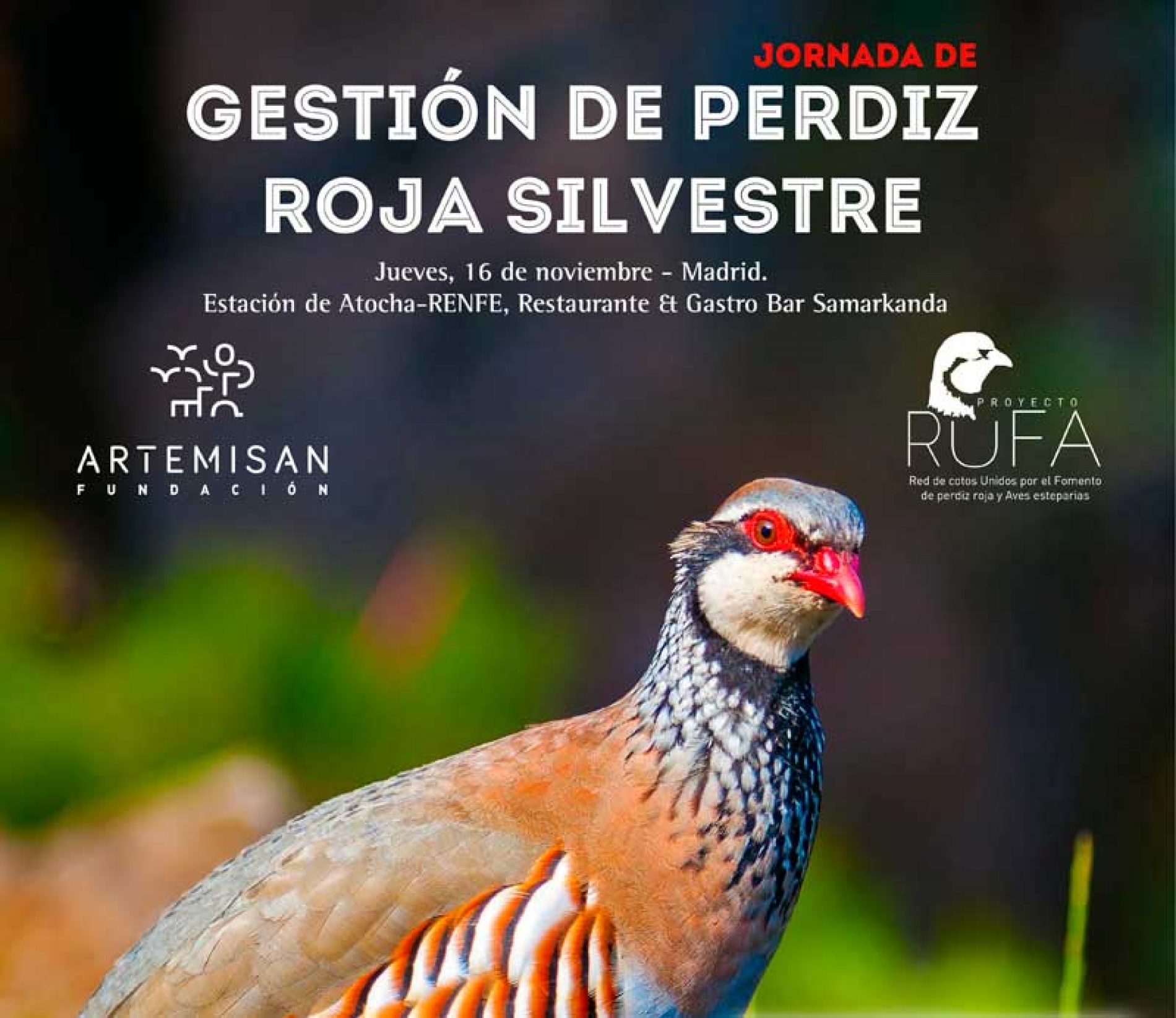 I jornada sobre Perdiz Roja Silvestre organizada por la Fundación Artemisan