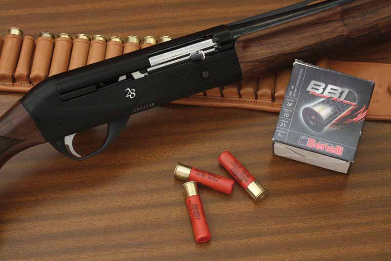 mitos-verdades-plomeo-benelli