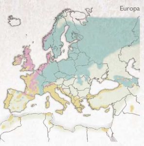 distribucion-becadas-europa