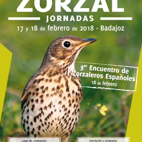 Las jornadas ‘Gestión y conservación del zorzal’ se celebrará en Badajoz