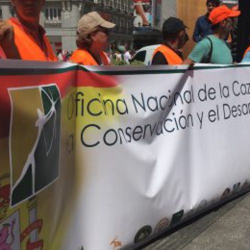 La ONC desmonta la propuesta de Podemos para incluir como delito el maltrato animal a la fauna silvestre