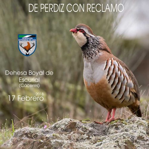 Campeonato de Extremadura de Perdiz con Reclamo el 17 de febrero