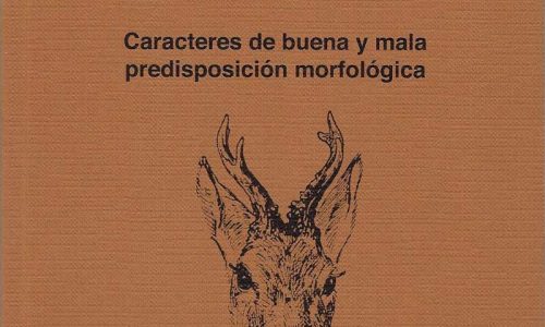 La Asociación del Corzo Español edita el libro, Comprensión y Valoración del Corzo