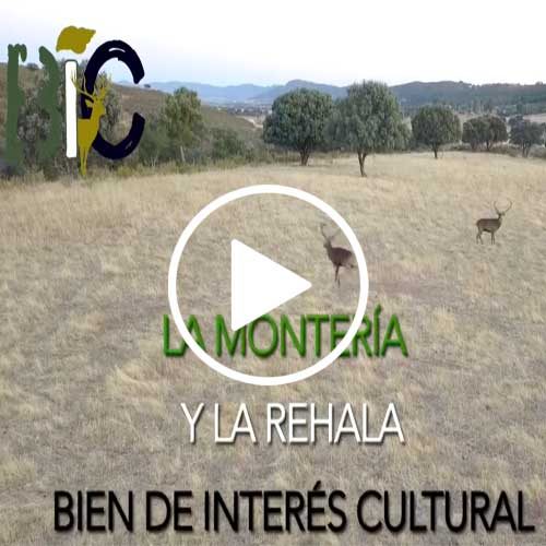 Declaración de la rehala y la montería como Bien de Interés Cultural de Extremadura