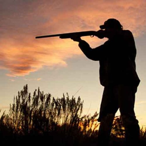 La falta de caza menor y los predadores las principales preocupaciones de los cazadores