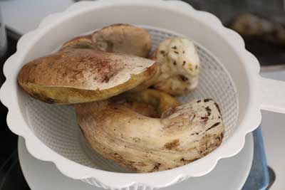 boletus-con-jamon-limpias