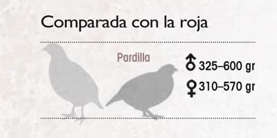 perdiz-pardilla-comparada-roja