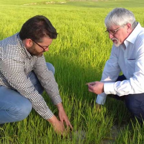 Nick Sotherton, experto en medidas agroambientales, visita ‘InterFIELD’