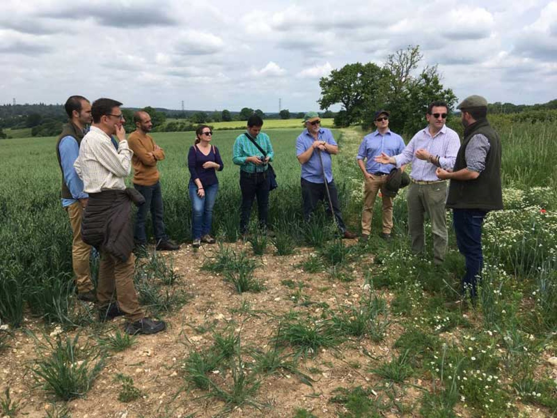 El proyecto ‘interFIELD’ visita Reino Unido para conocer nuevas medidas agroambientales