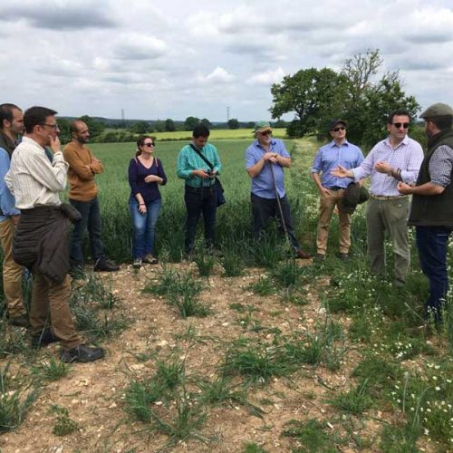 El proyecto ‘interFIELD’ visita Reino Unido para conocer nuevas medidas agroambientales
