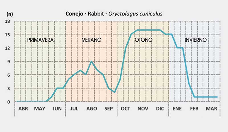 conejos-fenologia-grafico