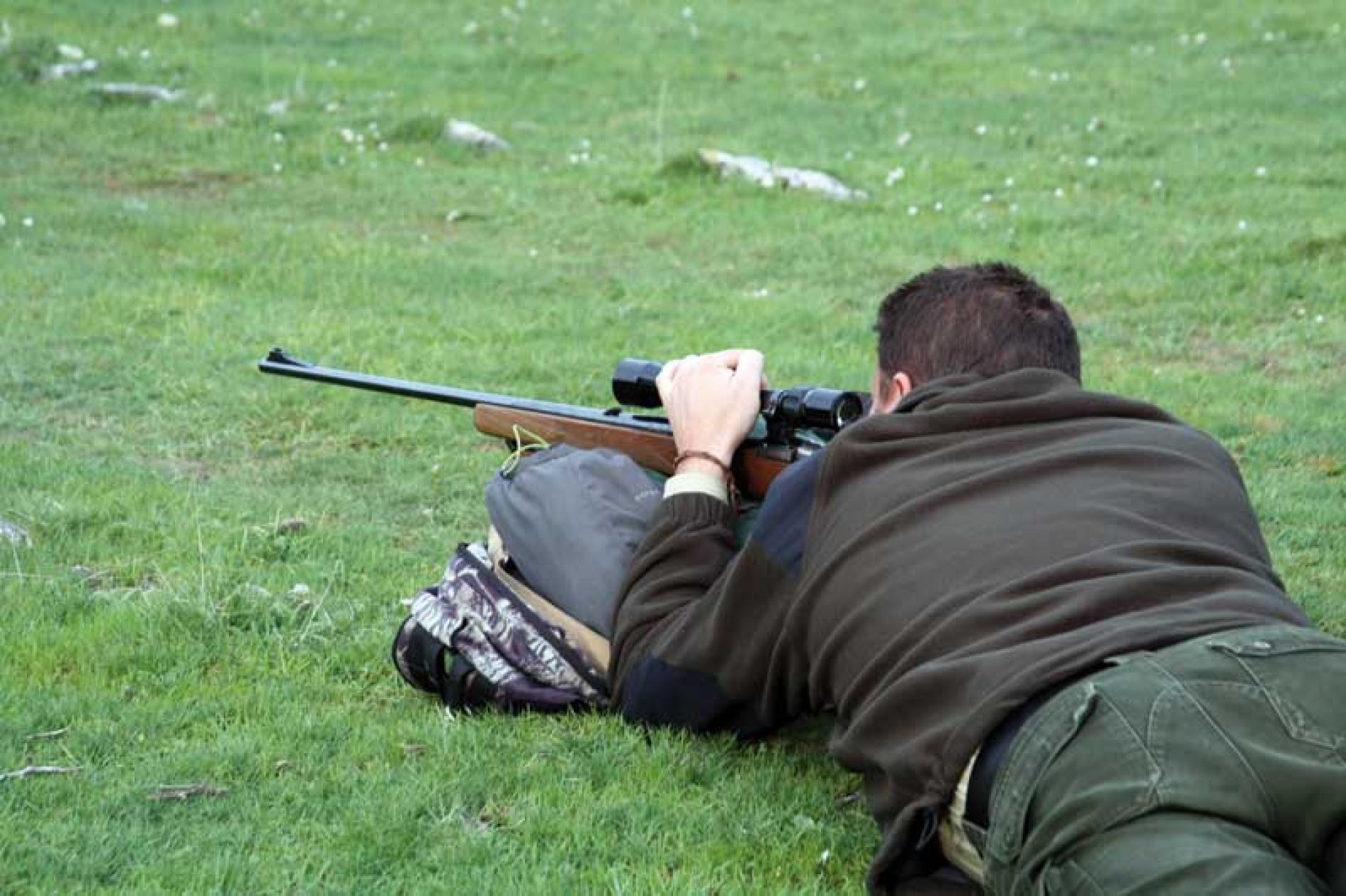 4 Tipos De Balas Y Sus Usos En La Caza Espanola Trofeo Caza 4 tipos de balas y sus usos en la caza