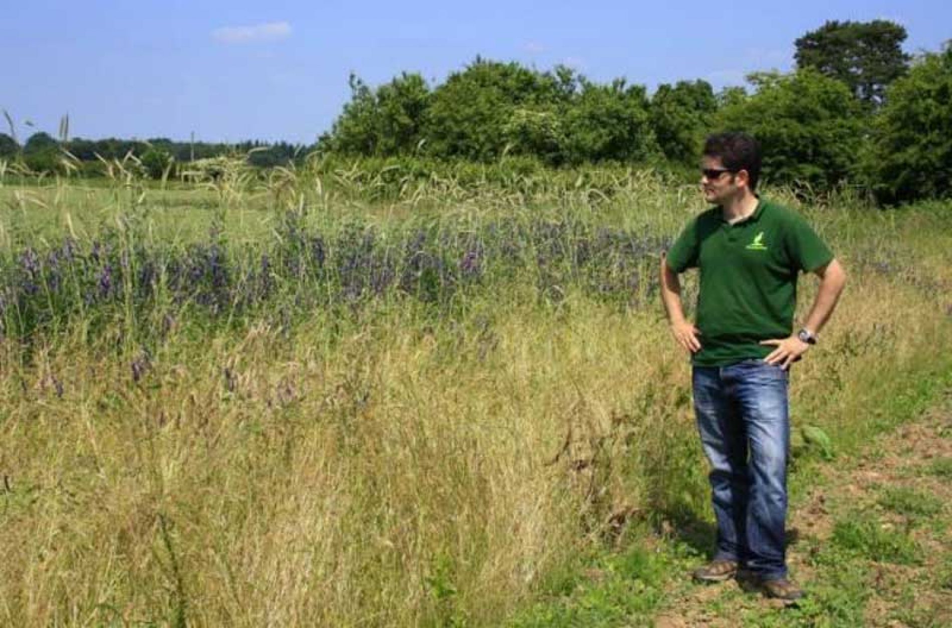 Artemisan lidera el grupo operativo ‘Agrohábitat’ sobre agricultura sostenible y biodiversidad