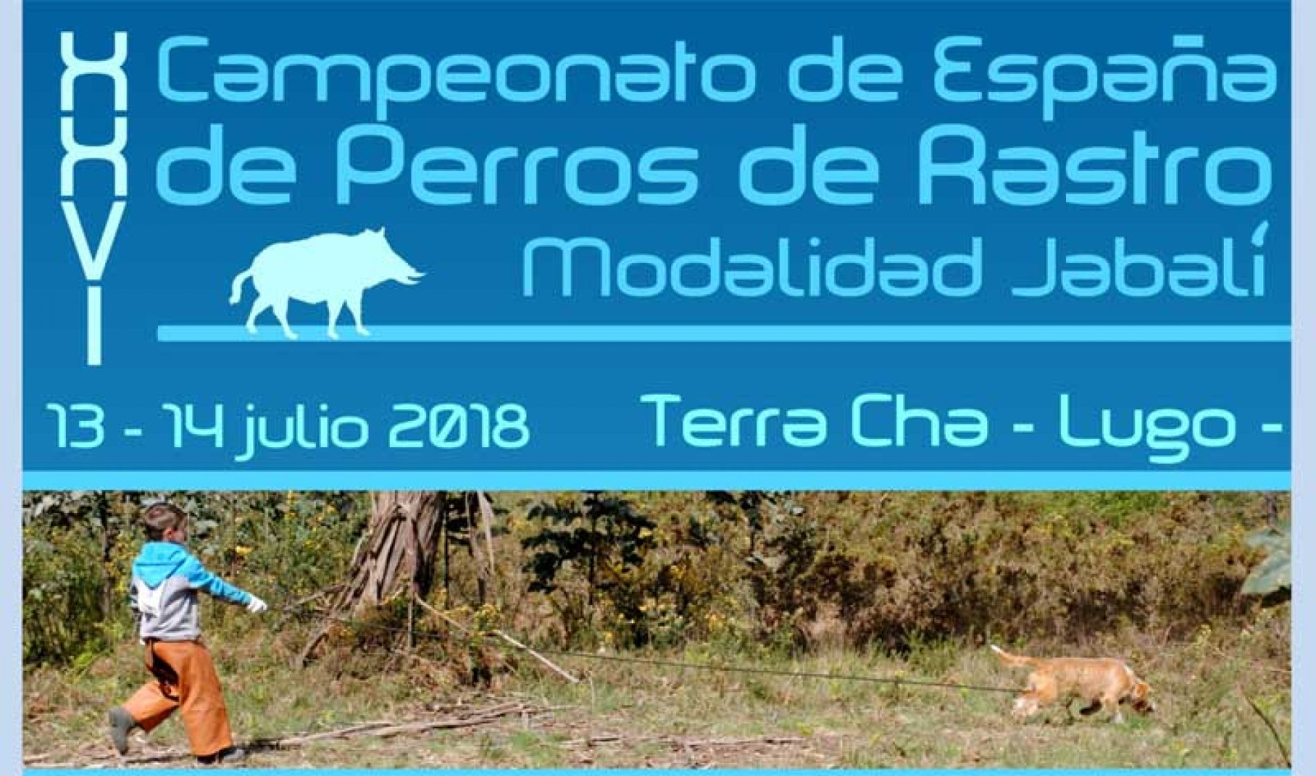XXVI Campeonato de España de Perros de Rastro, modalidad Jabalí