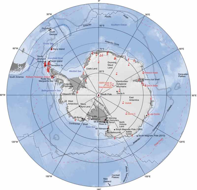 globo-oso-polar-