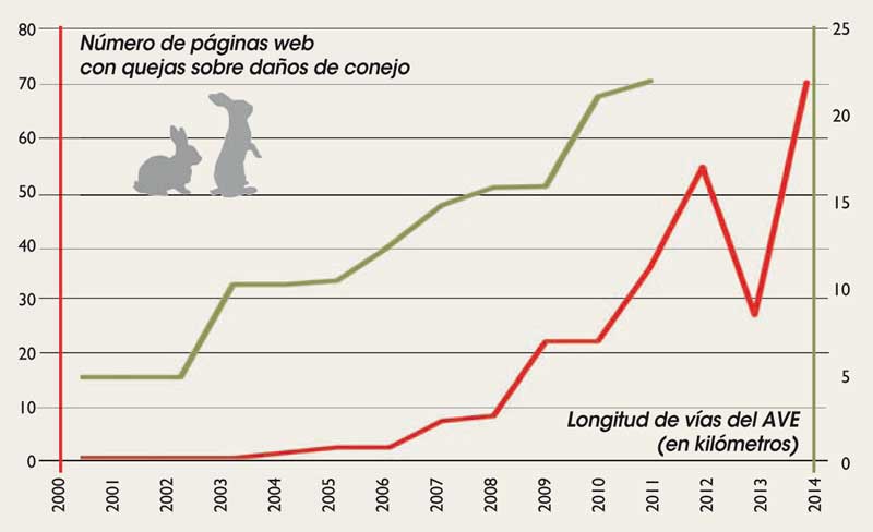 conejos-grafico-5