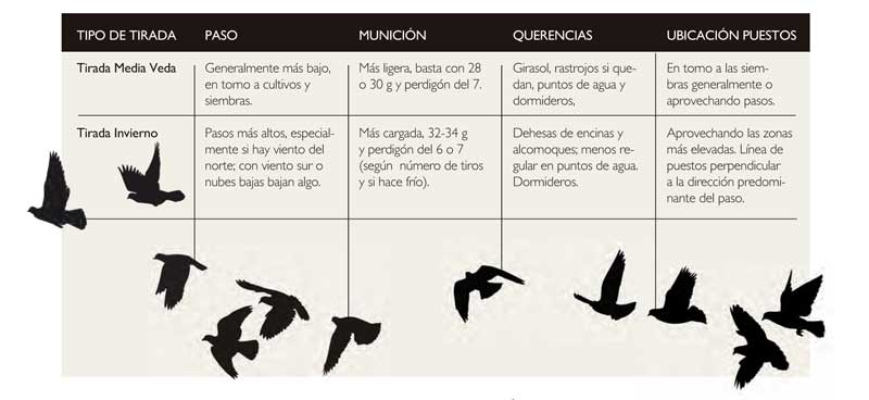 paloma-torcaz-cuadro-tirada